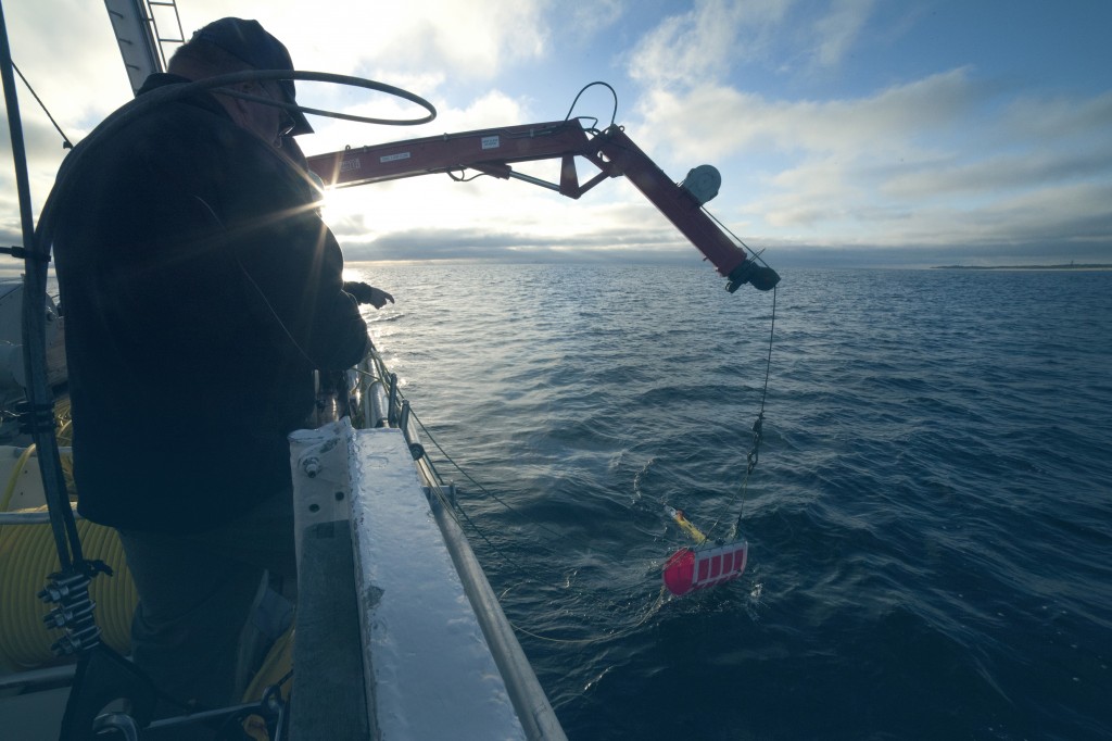 AUV in water