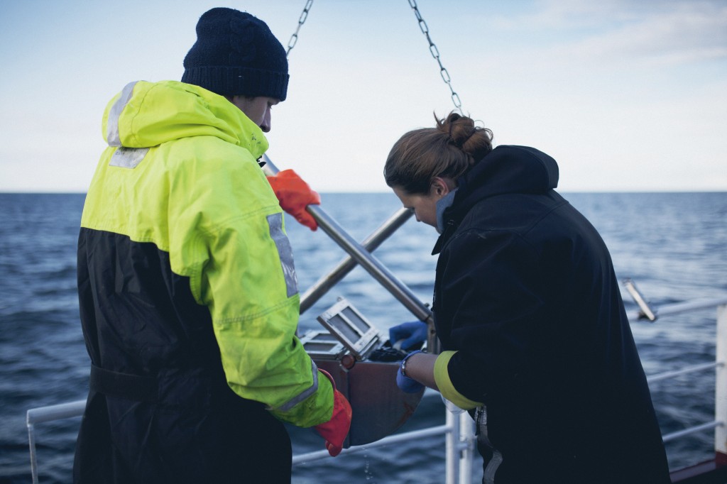 Benthic samples from Van Veen grab