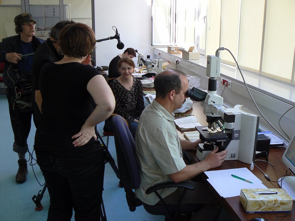 P1110545.JPG