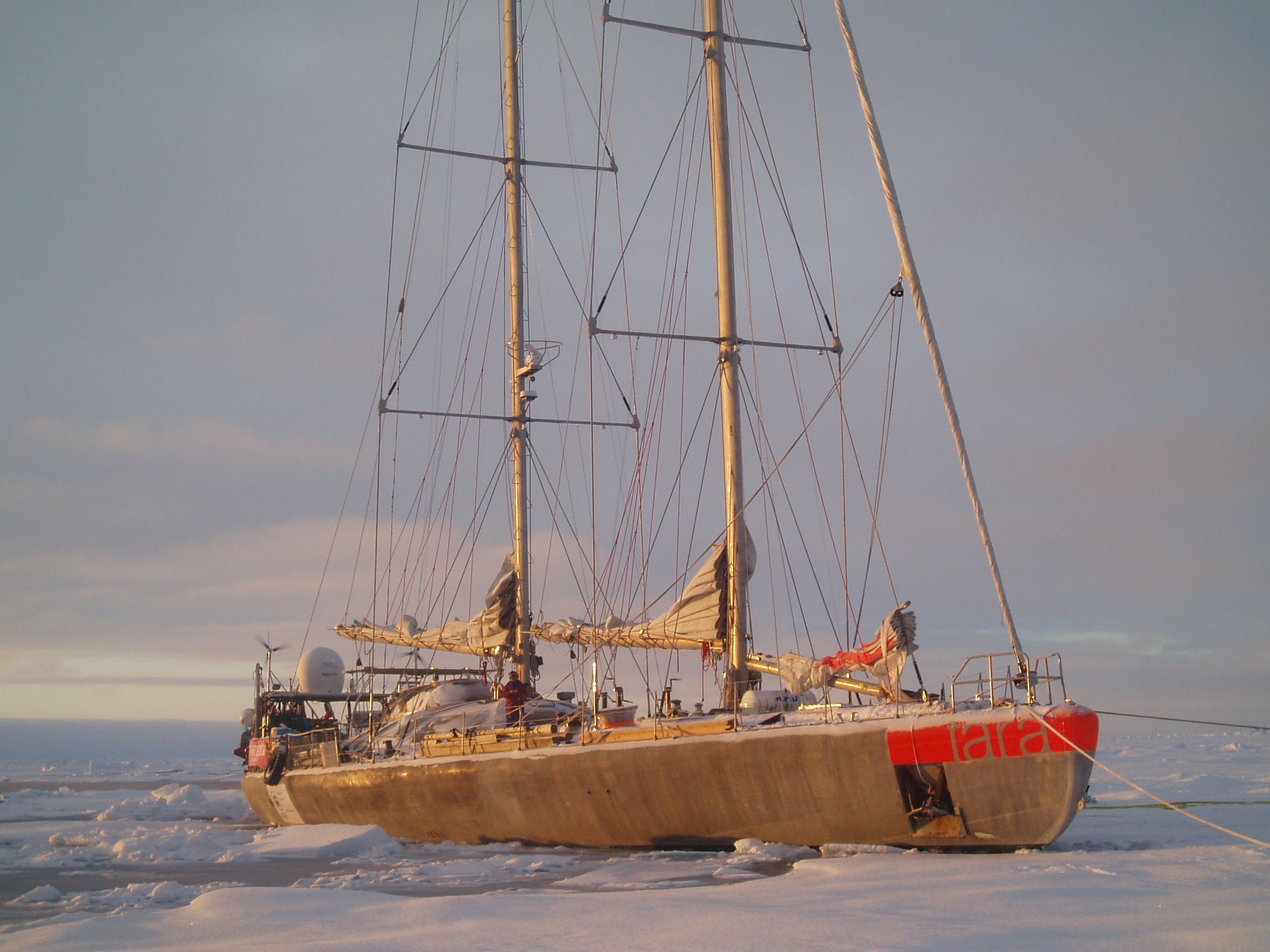S/Y Tara. Photo: Piotr Wieczorek