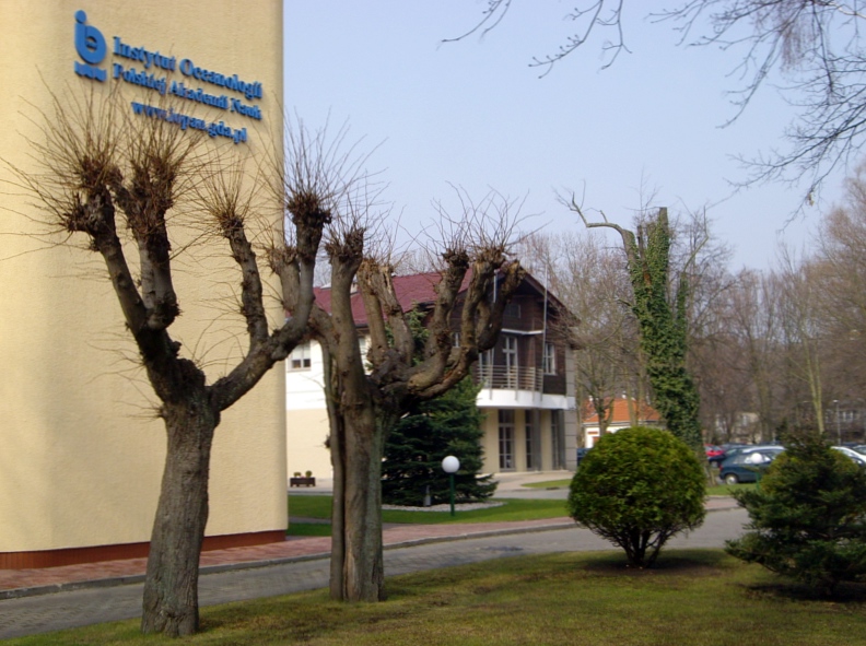 foto-1