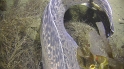 Colesbukta2_20202020-09-28-12h00m14s405