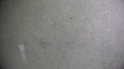 vlcsnap-00002