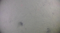 vlcsnap-00009