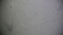 vlcsnap-00003