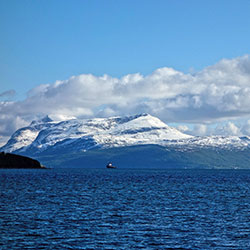 Cruise AREX 2014 on r/v Oceania LEGS 1, 2, AND 3