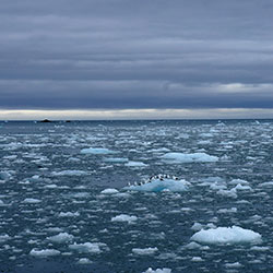 LEG 4 Tromso – Longyearbyen - 21 June – 7 July 2014