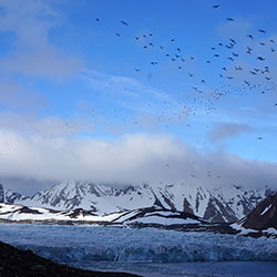 LEG 4 Tromso – Longyearbyen - 21 June – 7 July 2014