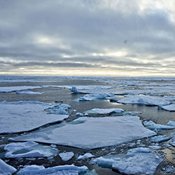 Cruise Fram Strait 2014 on r/v Lance 23.08 – 13.09.2014