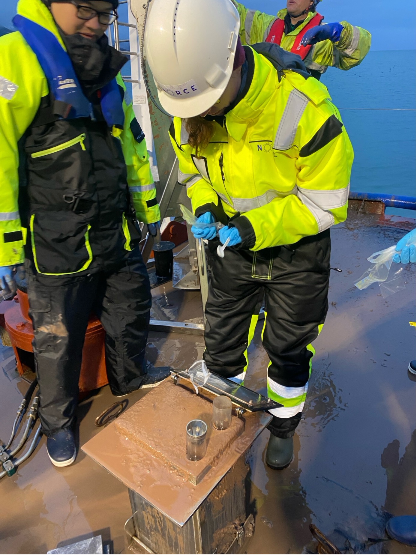 Sampling during last cruise