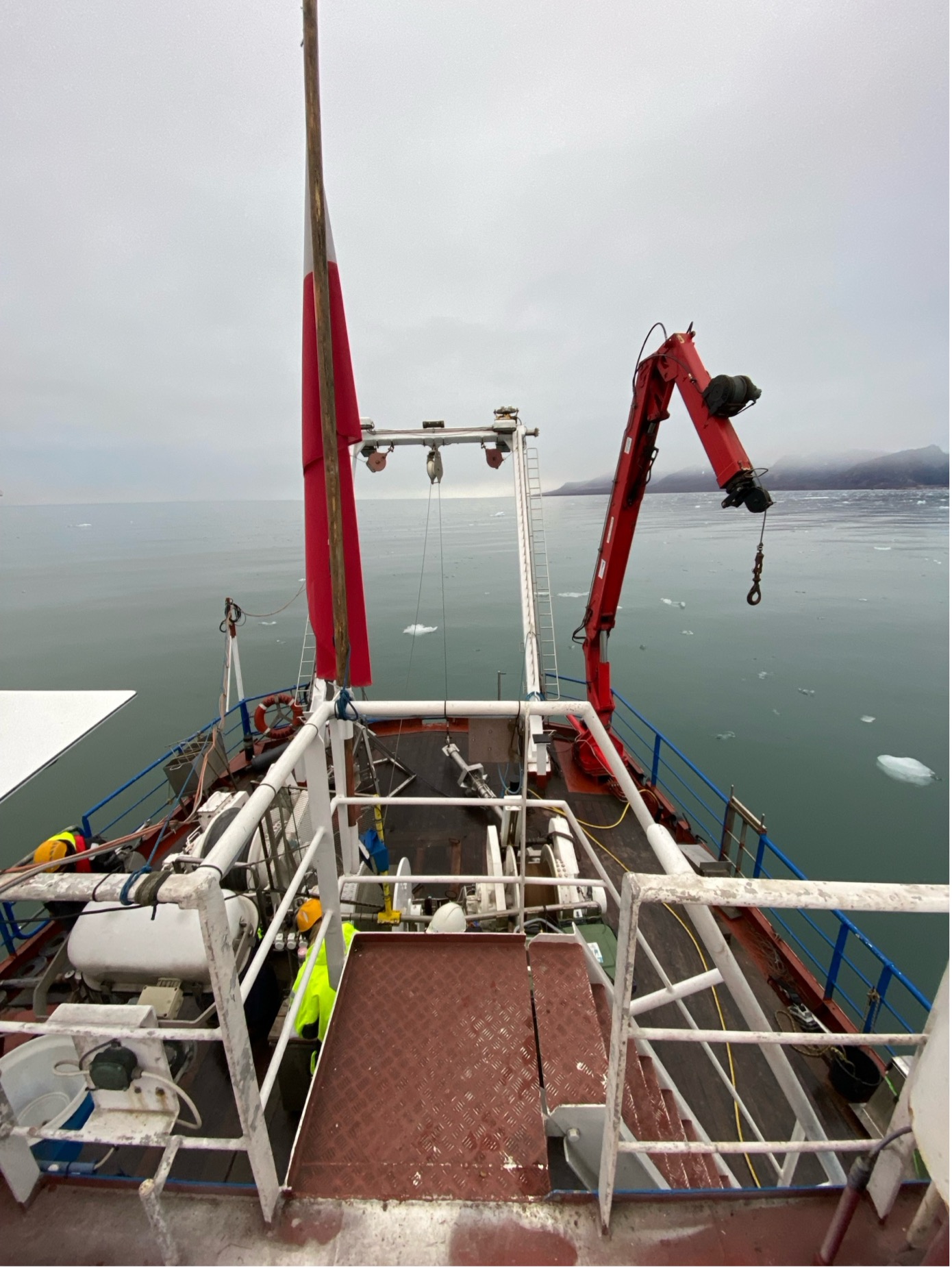 Sampling during last cruise