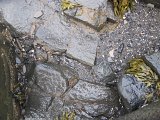 IMG_5005