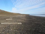 IMG_5018