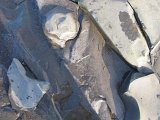 IMG_5025