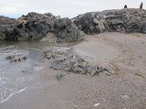 IMG_5139