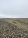 IMG_1928