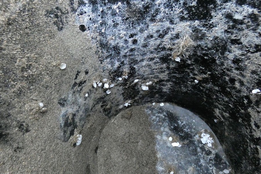 Original image