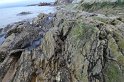 P1030950