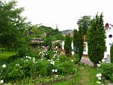 IMG_8431