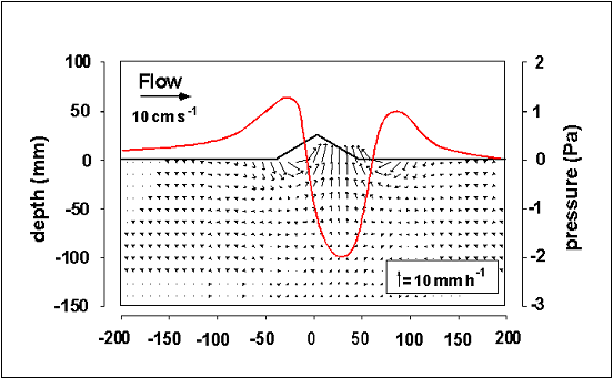 Diagram of the pressure variations in sediment